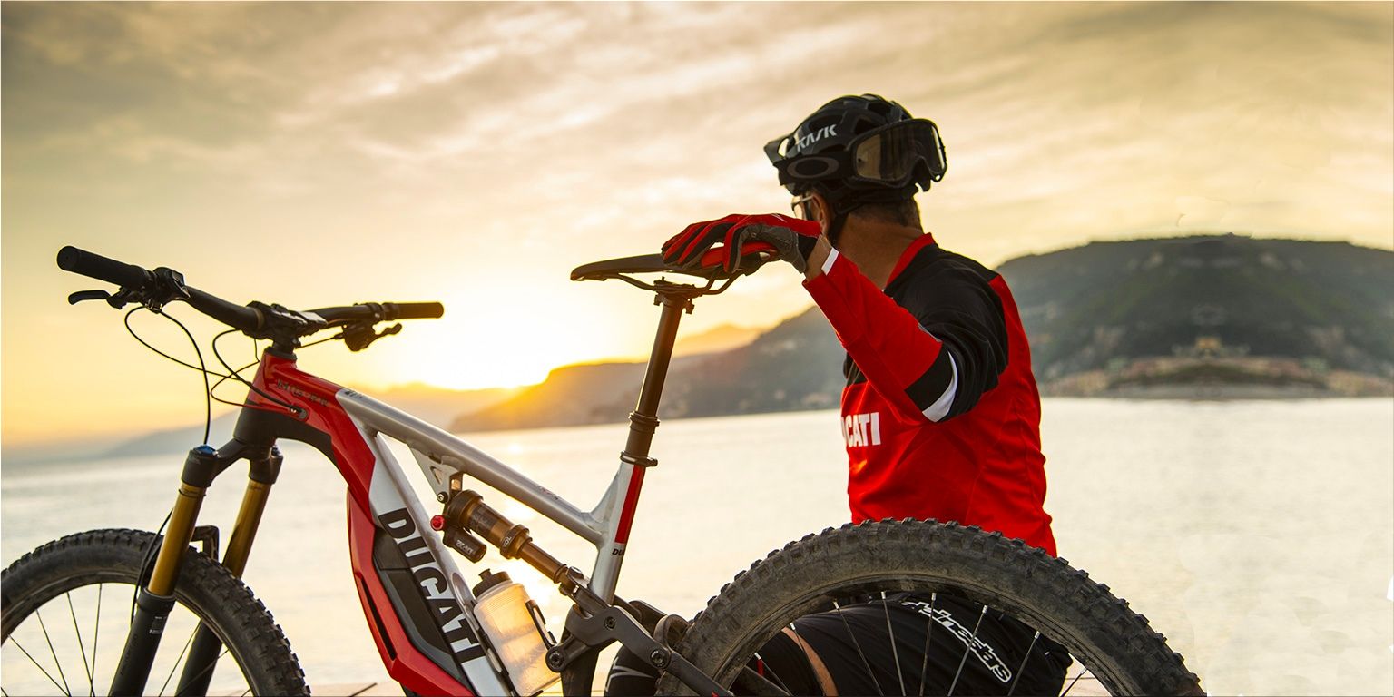 bike chassis price