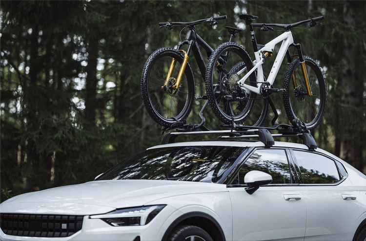 Allebike Alpha Polestar Edition