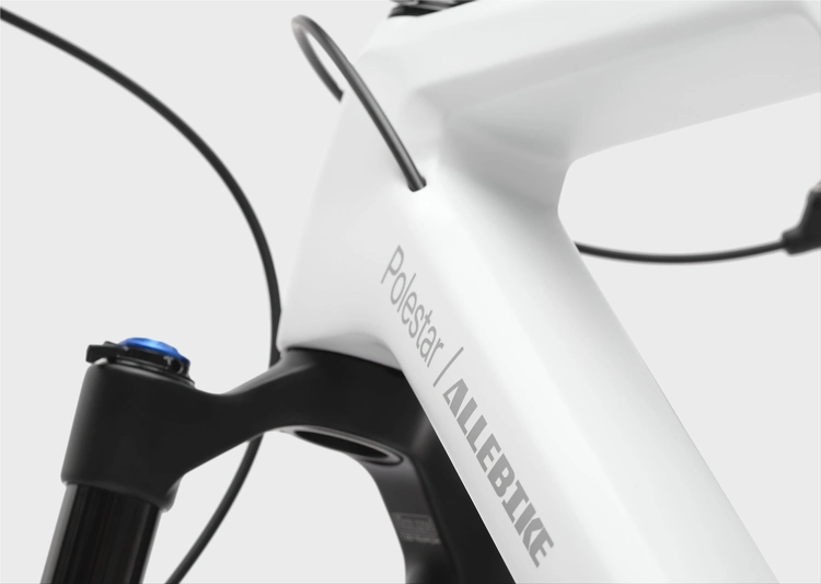 Allebike Alpha Polestar Edition