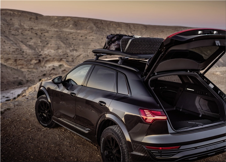 Audi Q8 e-tron Edition Dakar