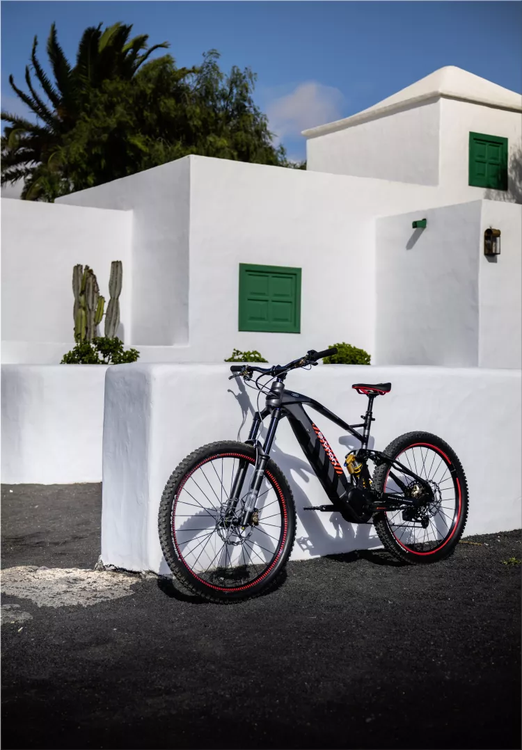 Audi e-MTB