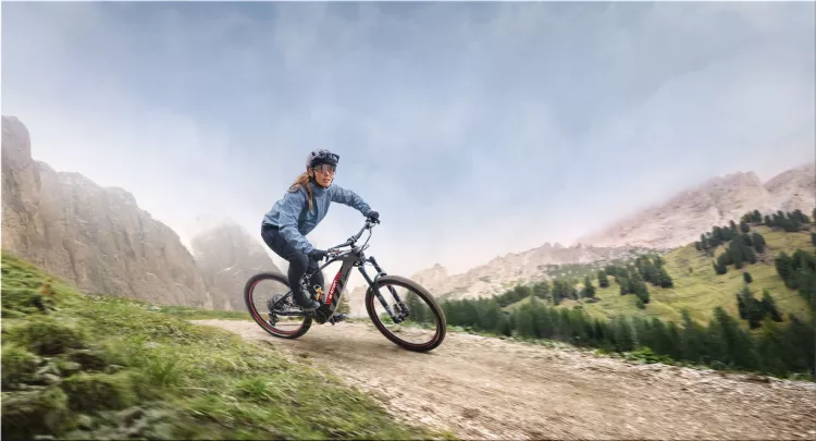 Audi e-MTB