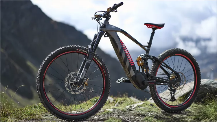 Audi e-MTB