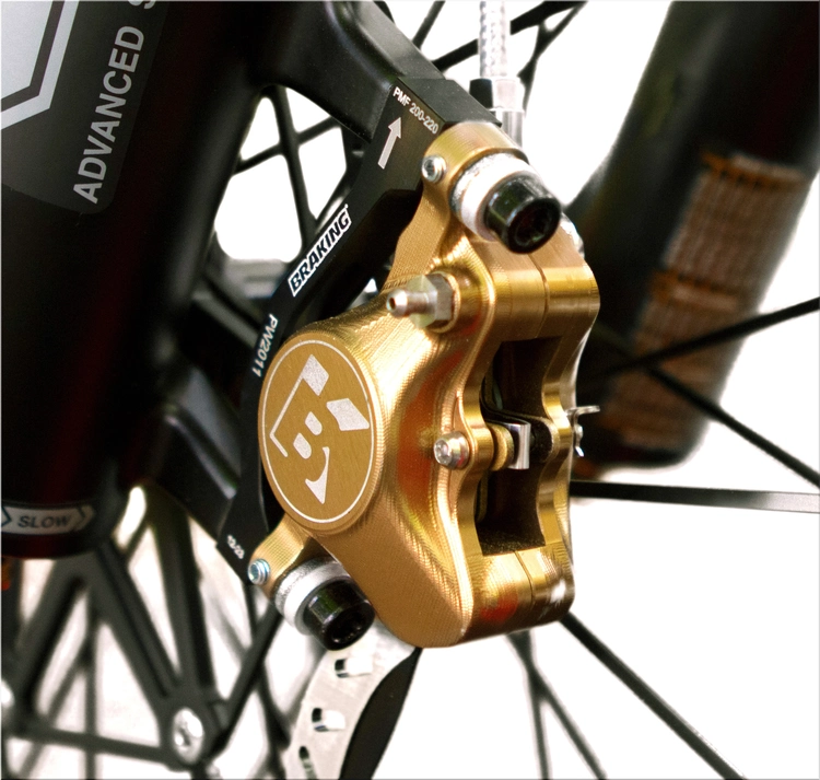 Audi eMTB 2.0