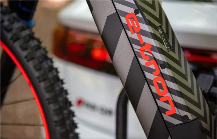 Audi eMTB 2.0