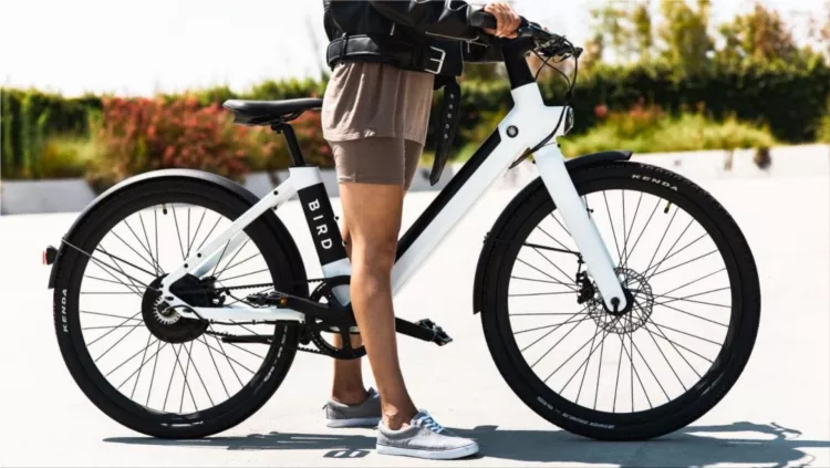 Bird Bike
