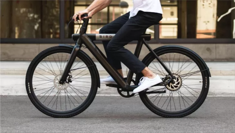 Bird Bike