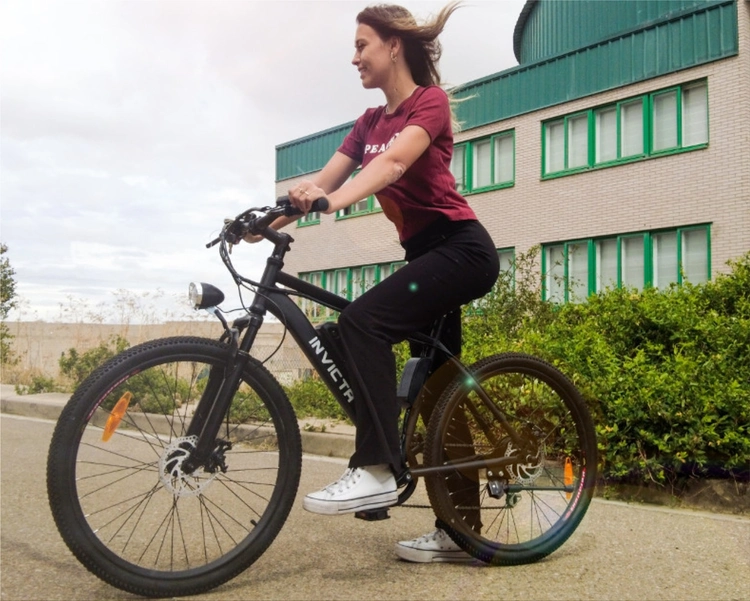 Invicta Electric Troky e-bike