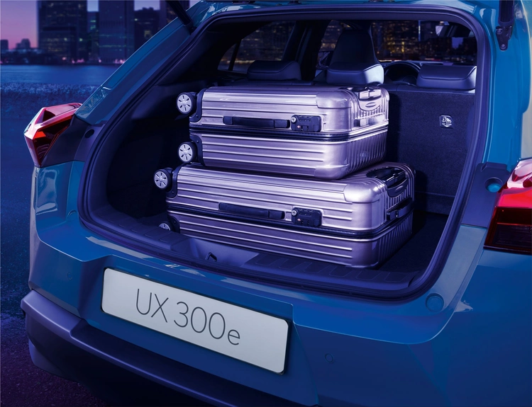 Lexus UX 300e