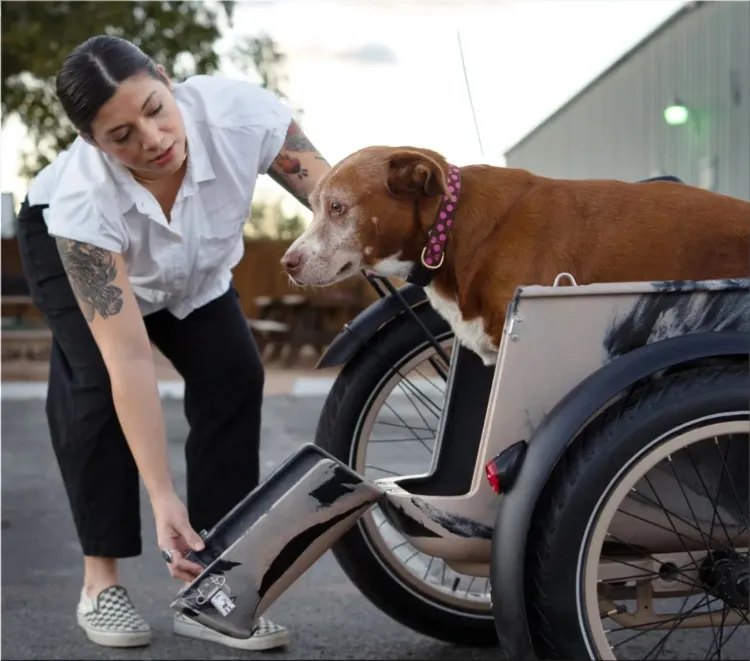 Mod Easy Sahara Sidecar Electric Bike
