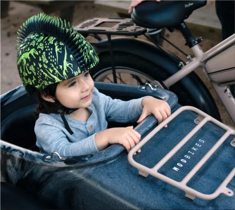 Mod Easy Sahara Sidecar Electric Bike