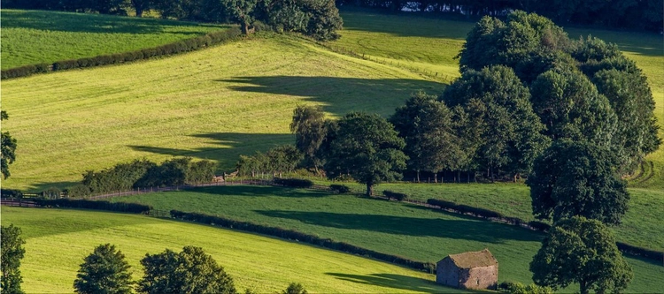 United Kingdom green