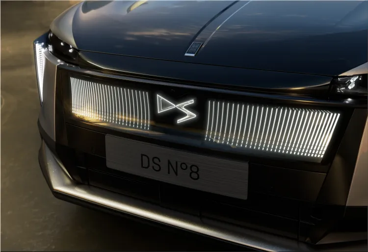 DS No8
