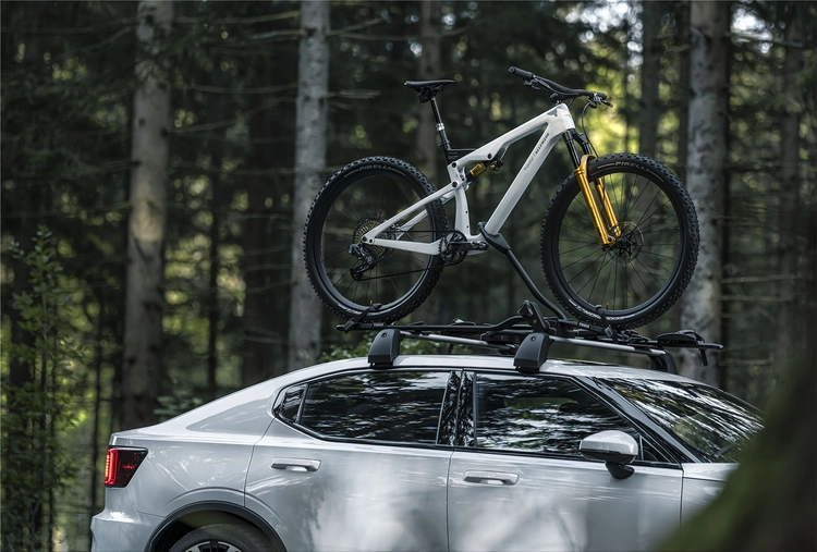 Allebike Alpha Polestar Edition