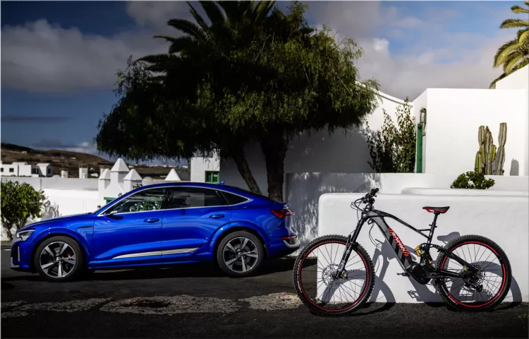 Audi e-MTB