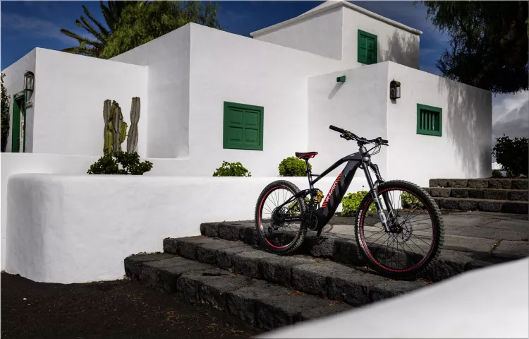 Audi e-MTB Electric Mountain Bike