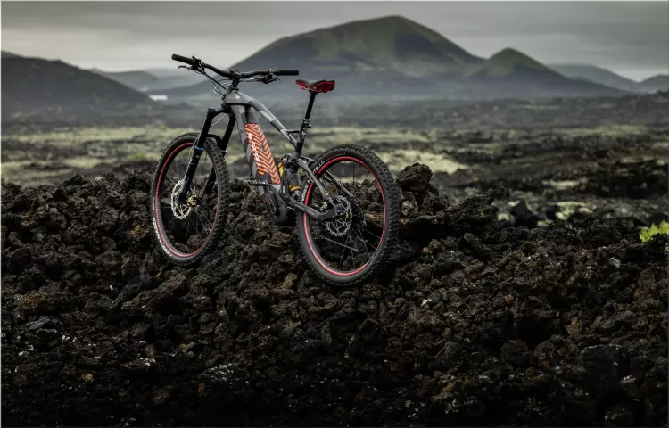 Audi e-MTB Electric Mountain Bike