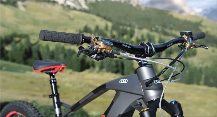 Audi e-MTB