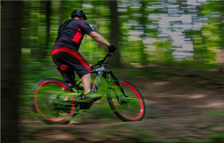 Audi eMTB 2.0 by Fantic: Electric Mountain Bike