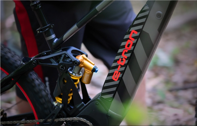 Audi eMTB 2.0 by Fantic