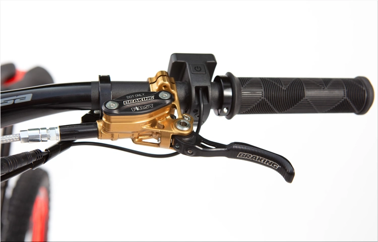 Audi eMTB 2.0 by Fantic