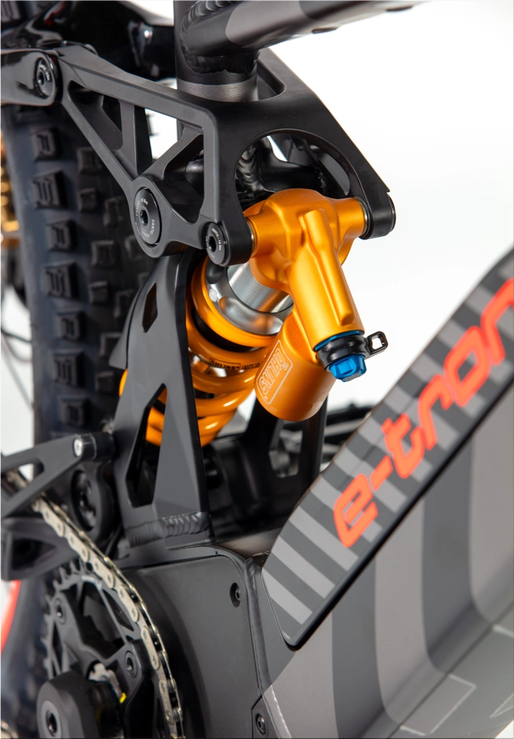 Audi eMTB 2.0 by Fantic