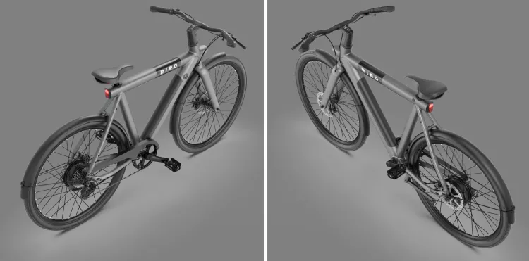 Bird Bike