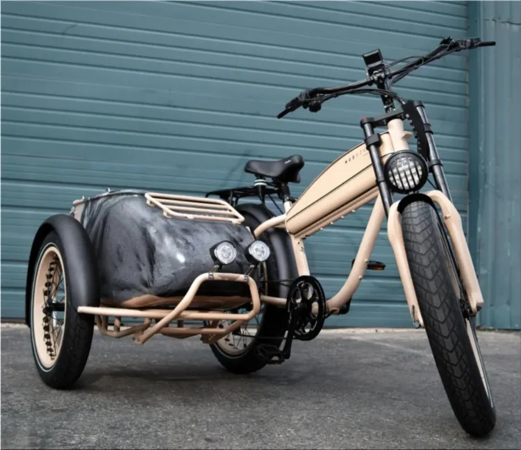 Mod Easy Sahara Sidecar Electric Bike