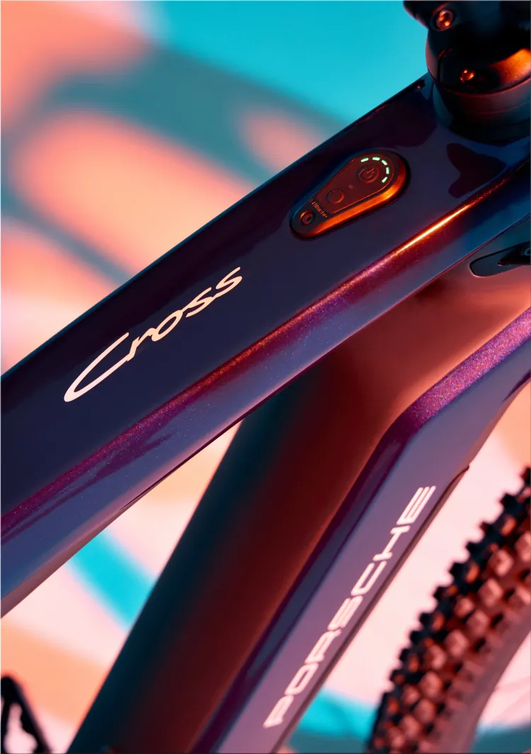 Porsche eBike Sport 2025