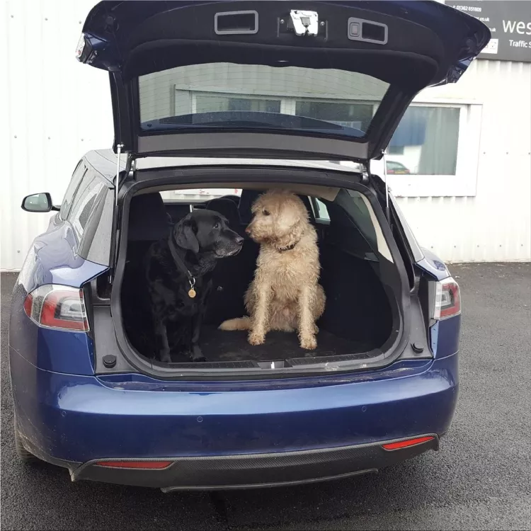 Tesla Model S 'Shooting Brake'