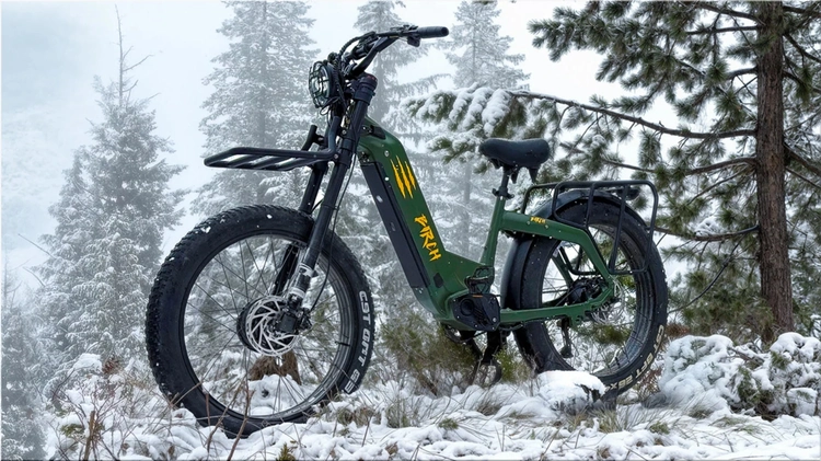 Birch eBikes