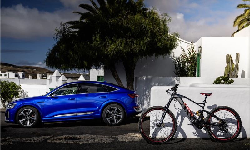 Audi e-MTB
