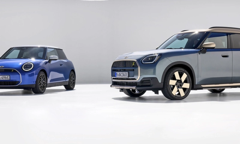 MINI family