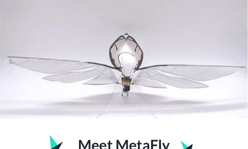 Metafly