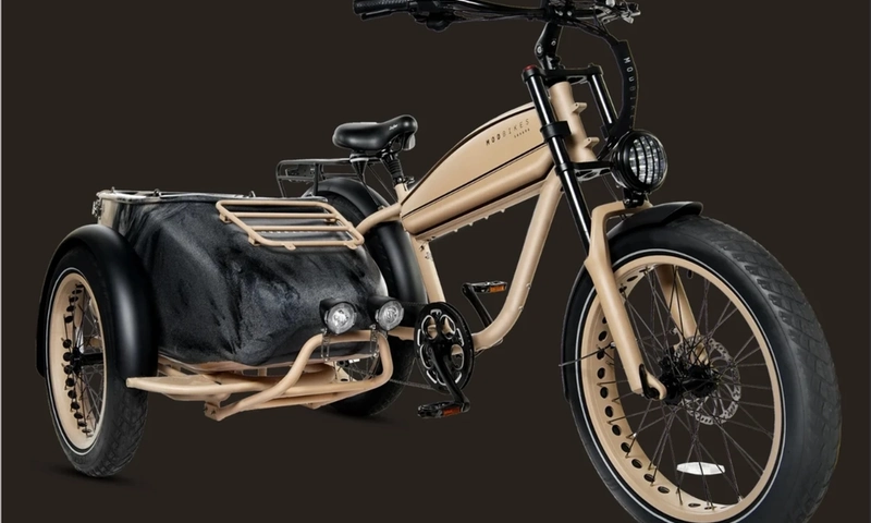 Mod Easy Sahara Sidecar Electric Bike