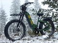 Urban Jungle vs. Wild Frontier: Off-Road E-Bikes vs. Commuter E-Bikes